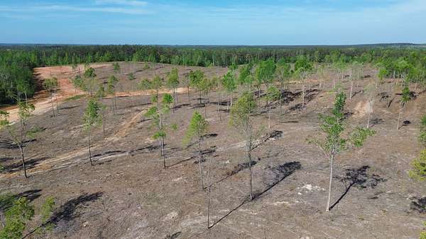 37 Acres of Land for Sale in Michie, Tennessee