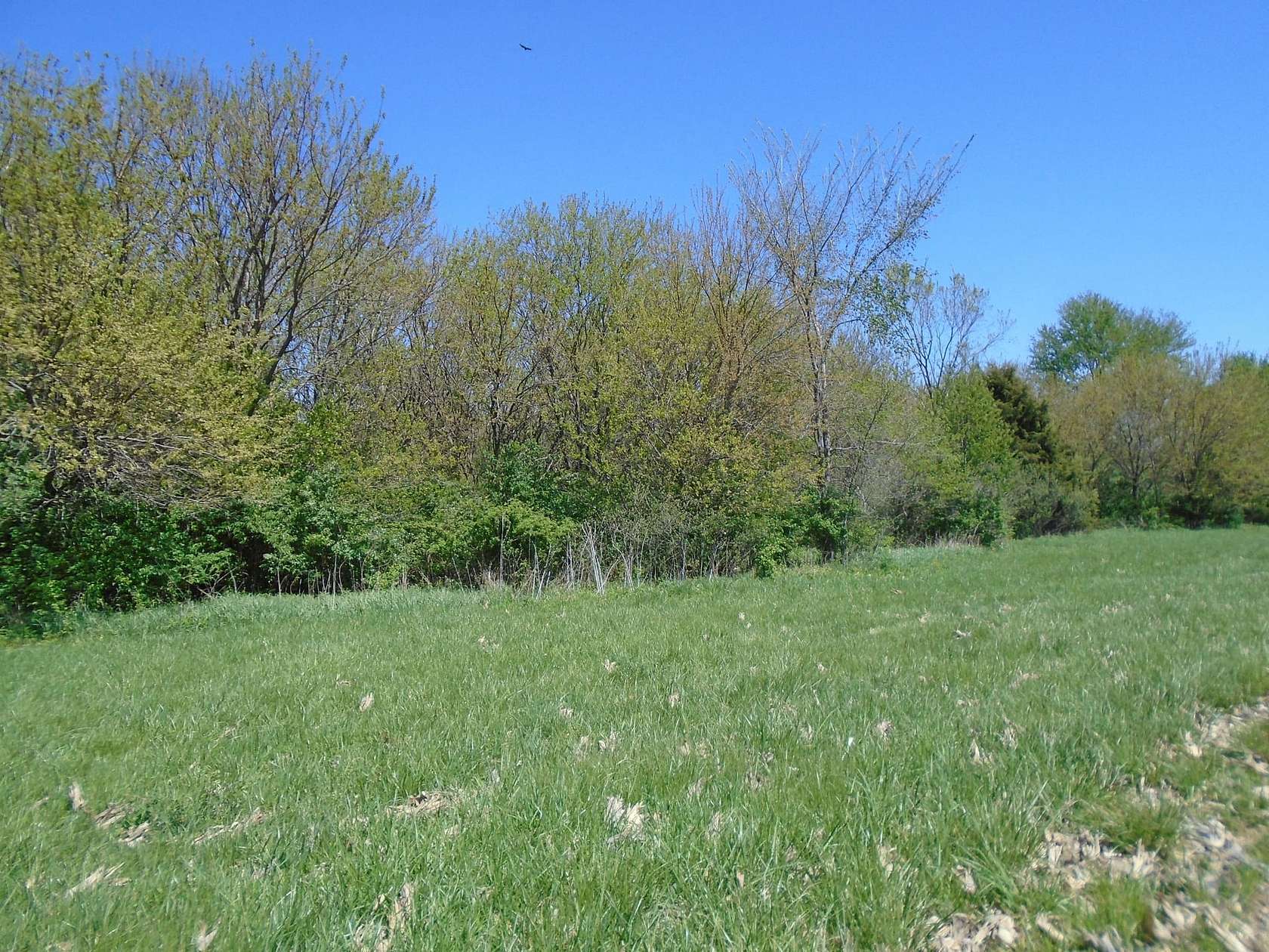 5.52 Acres of Land for Sale in Clayton, Indiana