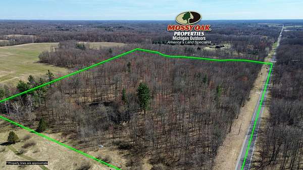 23 Acres of Land for Sale in Cedar Springs, Michigan