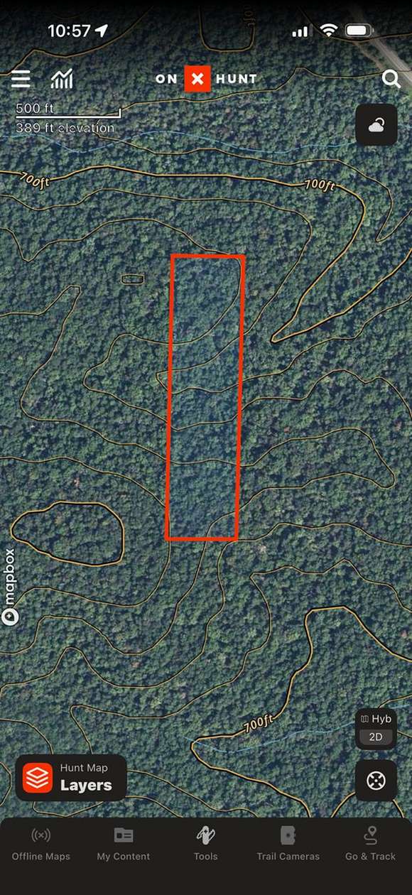 10 Acres of Recreational & Residential Land for Sale in Grandin, Missouri