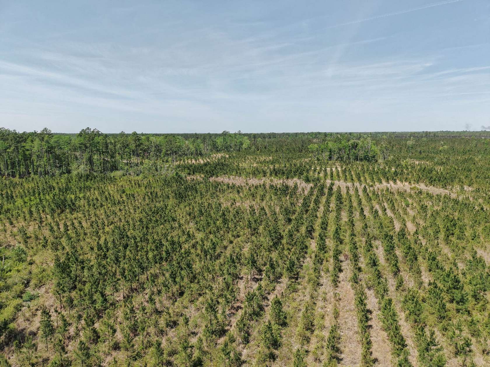 25.1 Acres of Recreational Land for Sale in White Oak, Georgia