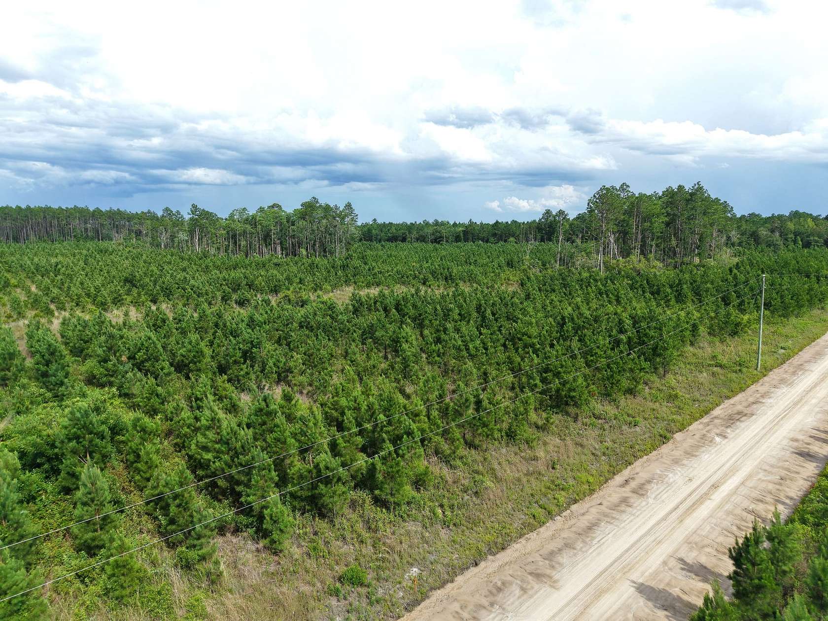 25.1 Acres of Recreational Land for Sale in White Oak, Georgia