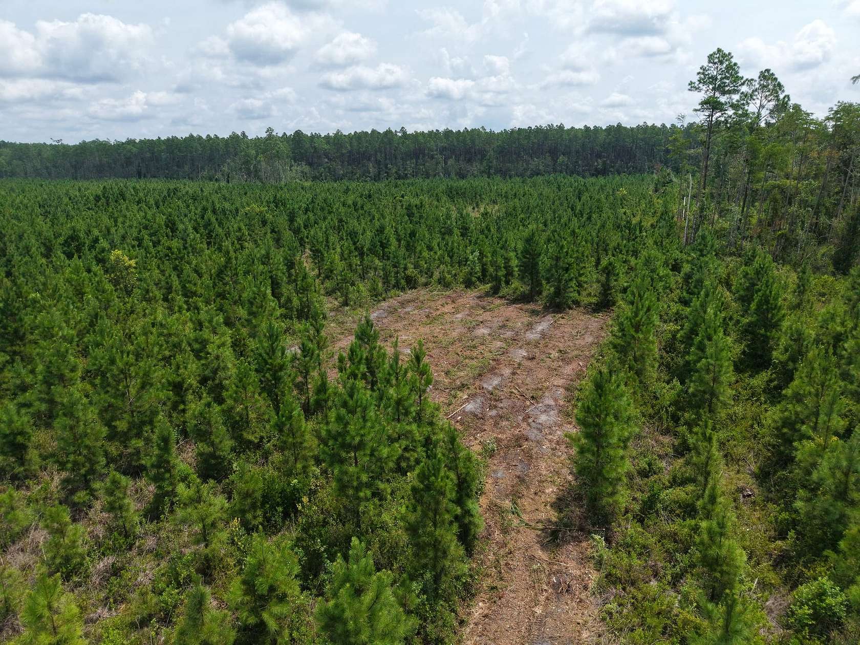 25.1 Acres of Recreational Land for Sale in White Oak, Georgia