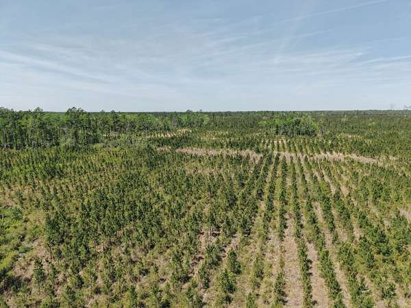 25.1 Acres of Recreational Land for Sale in White Oak, Georgia