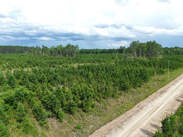 25.1 Acres of Recreational Land for Sale in White Oak, Georgia