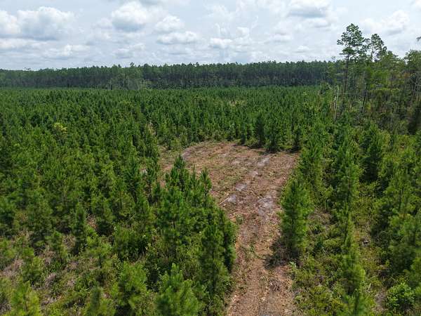 25.1 Acres of Recreational Land for Sale in White Oak, Georgia