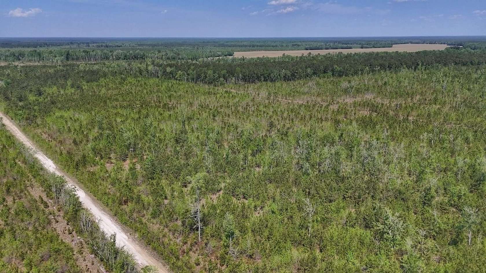 25 Acres of Recreational Land for Sale in Ernul, North Carolina