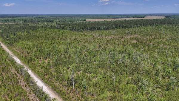 25 Acres of Recreational Land for Sale in Ernul, North Carolina