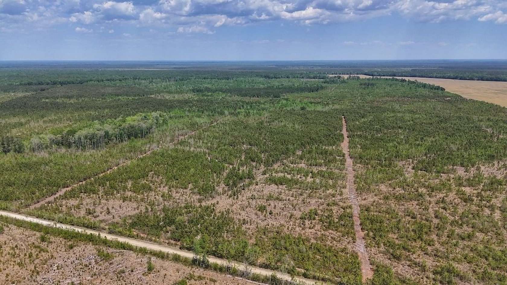 35 Acres of Recreational Land for Sale in Ernul, North Carolina