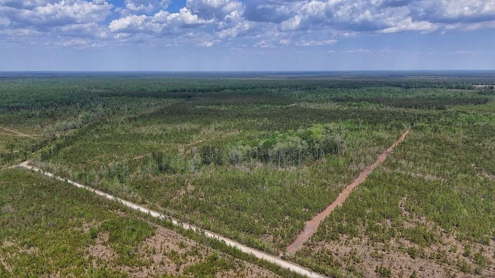 35 Acres of Recreational Land for Sale in Ernul, North Carolina