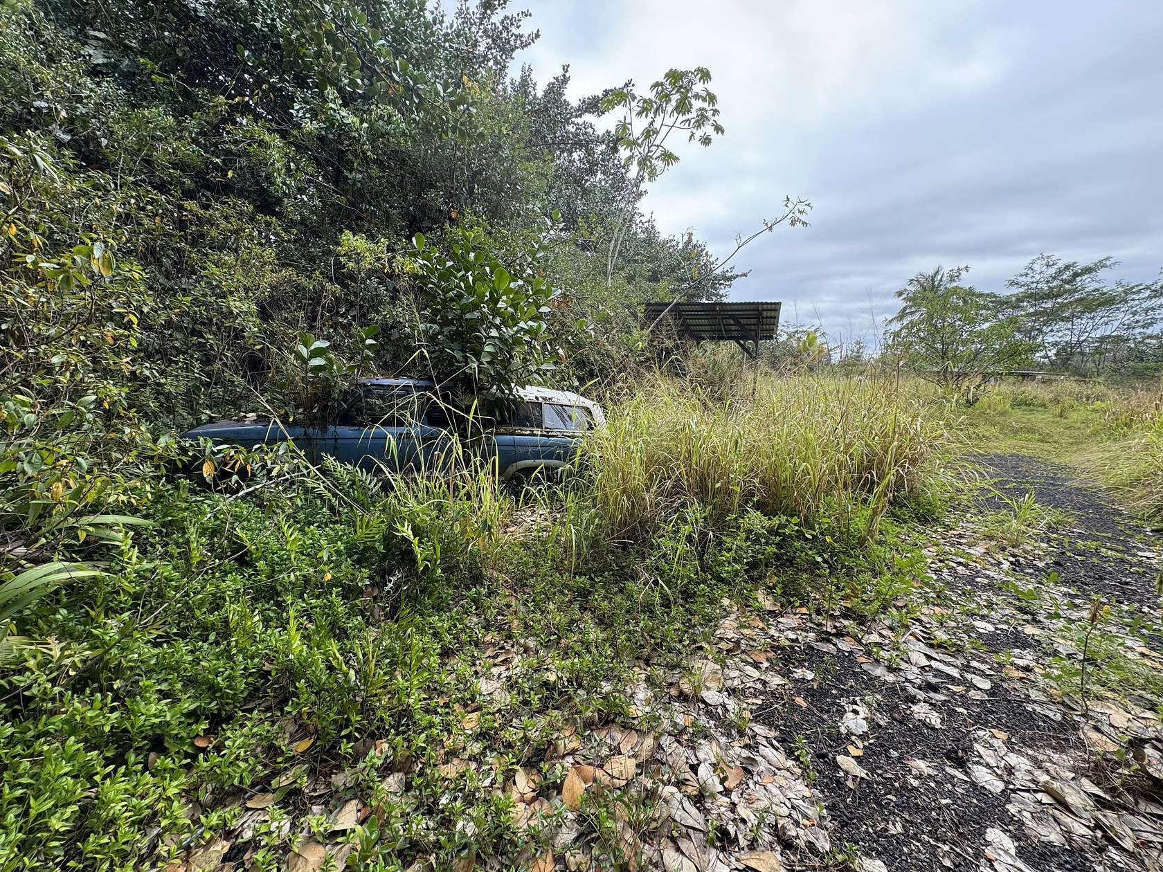 5 Acres of Residential Land for Sale in Pahoa, Hawaii