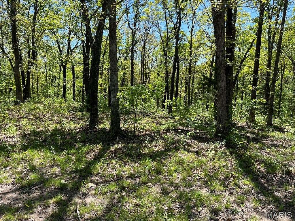 Residential Land for Sale in Festus, Missouri