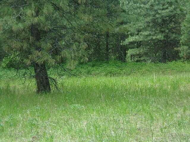 18.7 Acres of Recreational & Residential Land for Sale in Valley, Washington