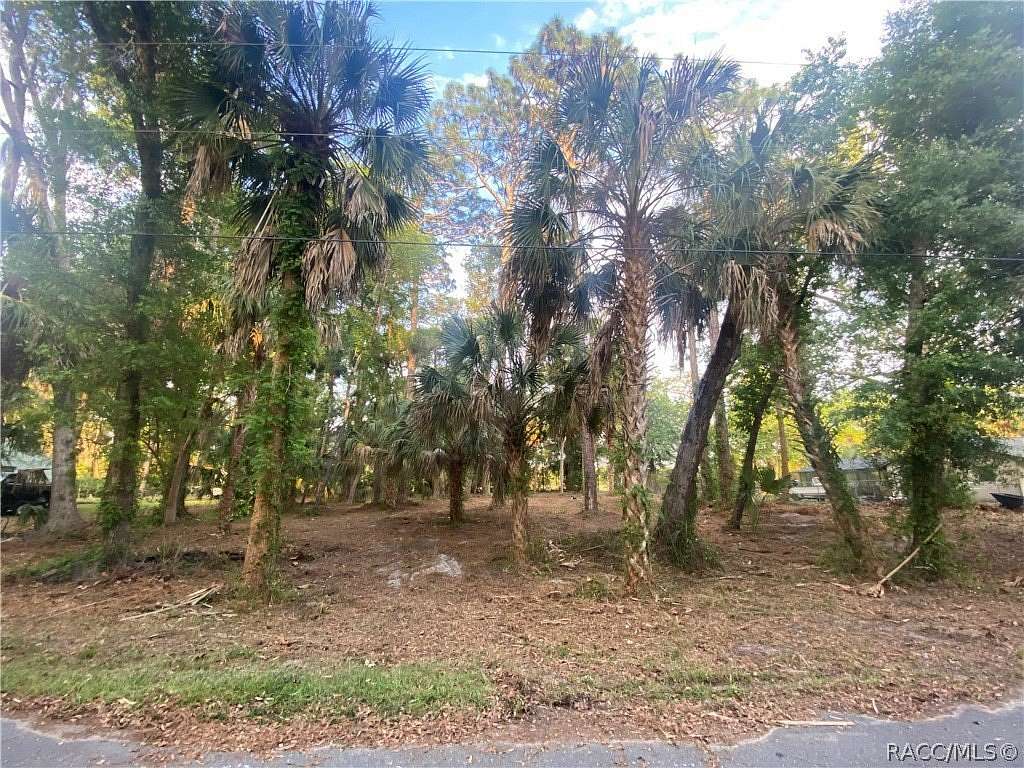 0.46 Acres of Land for Sale in Crystal River, Florida