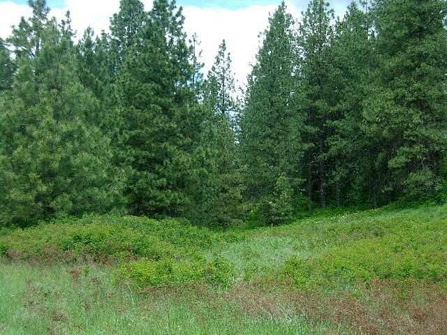 18.7 Acres of Recreational & Residential Land for Sale in Valley, Washington