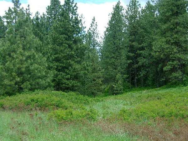 18.7 Acres of Recreational & Residential Land for Sale in Valley, Washington
