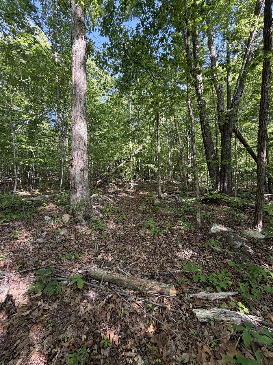 0.69 Acres of Residential Land for Sale in Newport, Tennessee