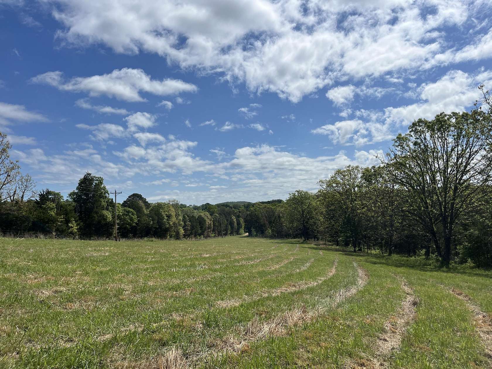 65 Acres of Land for Sale in Drury, Missouri