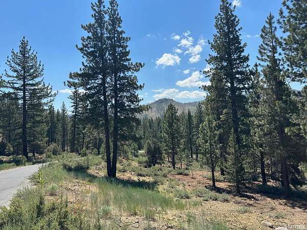 2.19 Acres of Land for Sale in Markleeville, California