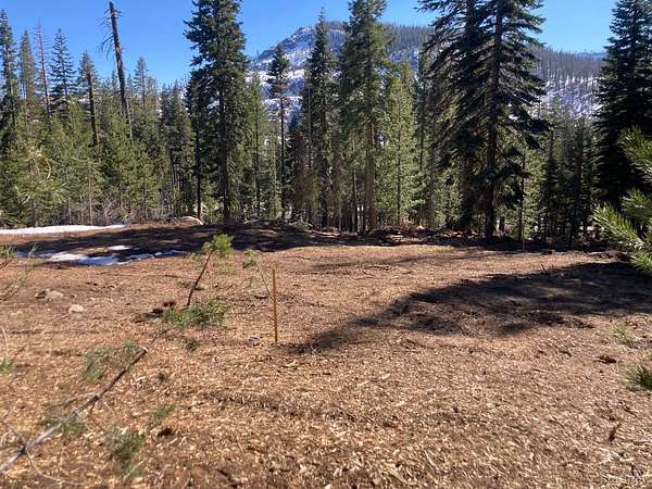 6.55 Acres of Residential Land for Sale in Twin Bridges, California