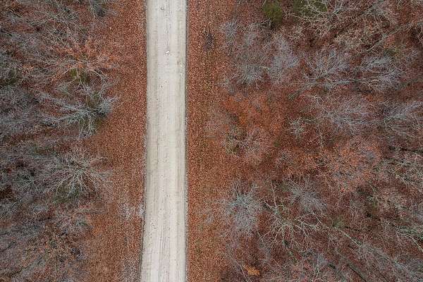 10.7 Acres of Land for Sale in Fordland, Missouri