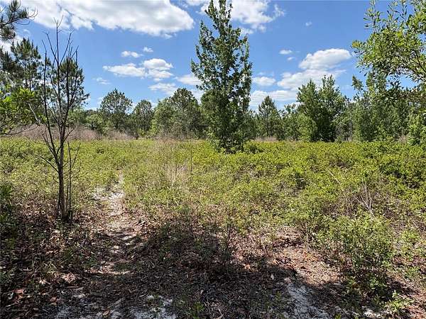 1.58 Acres of Residential Land for Sale in Polk City, Florida
