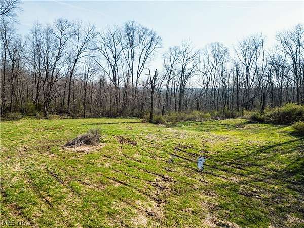 31.3 Acres of Recreational Land for Auction in Millersburg, Ohio