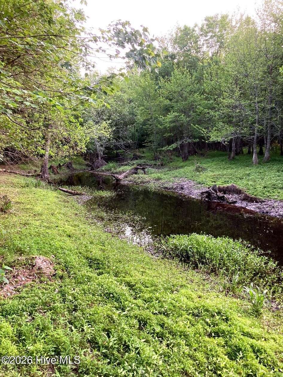 34.4 Acres of Recreational & Residential Land for Sale in Burgaw, North Carolina