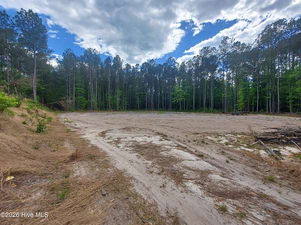 34.4 Acres of Recreational Land for Sale in Burgaw, North Carolina