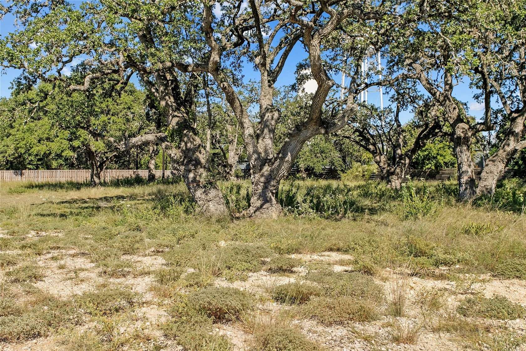 Residential Land for Sale in Blanco, Texas