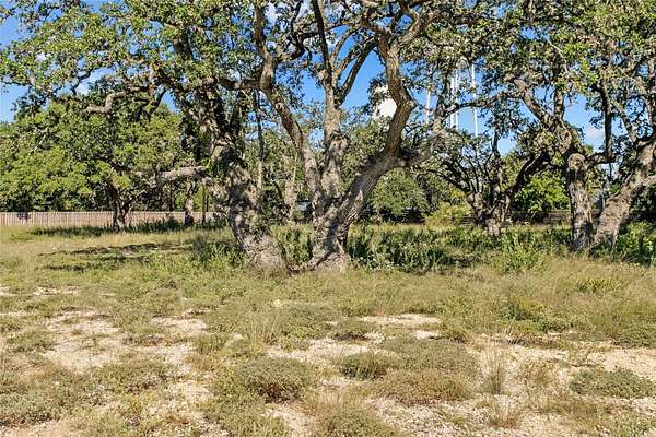 Residential Land for Sale in Blanco, Texas
