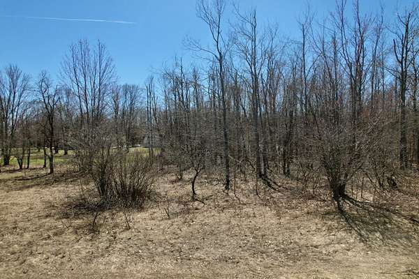 0.52 Acres of Residential Land for Sale in Mancelona, Michigan