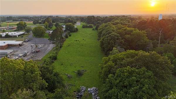 6 Acres of Residential Land for Sale in Livingston, Alabama