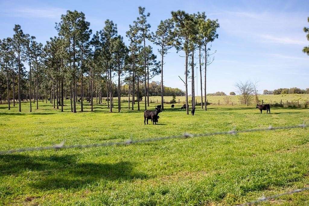 17.8 Acres of Land for Sale in Bainbridge, Georgia