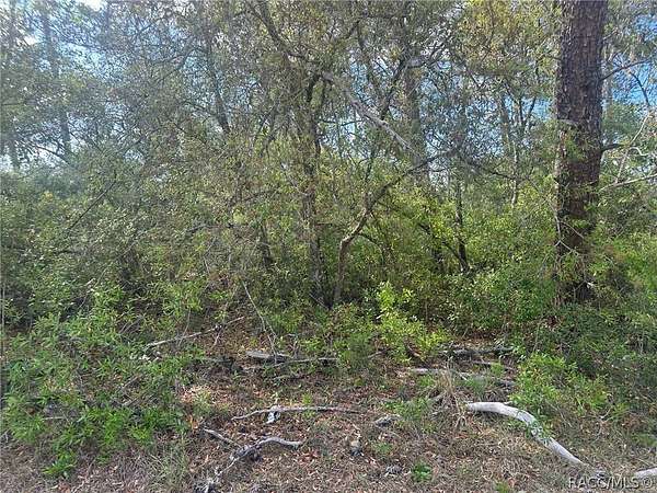 0.29 Acres of Residential Land for Sale in Ocala, Florida