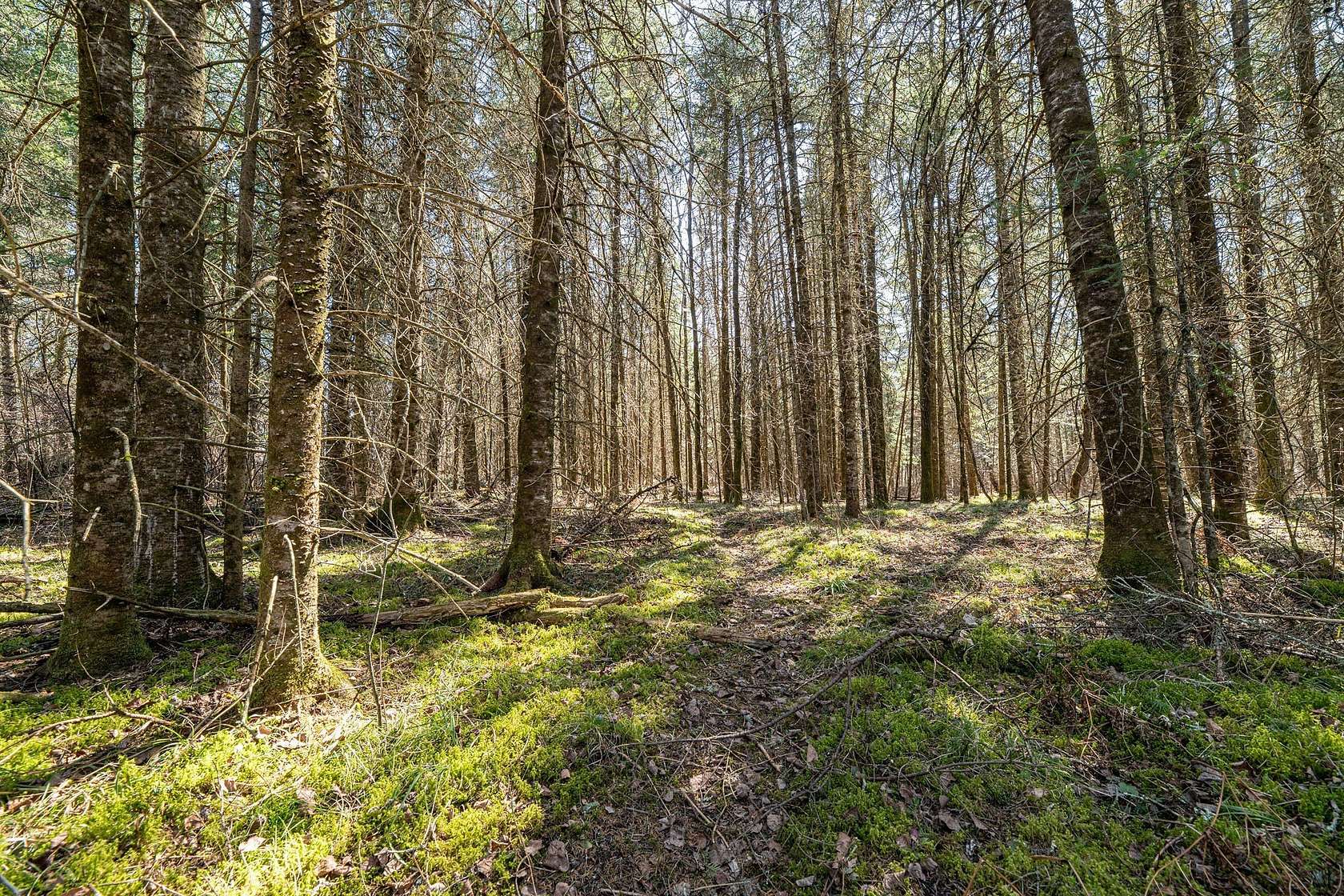 5 Acres of Recreational Land for Sale in Winter, Wisconsin