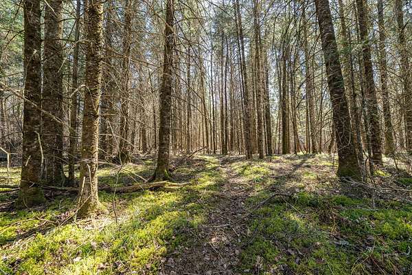 5 Acres of Recreational Land for Sale in Winter, Wisconsin
