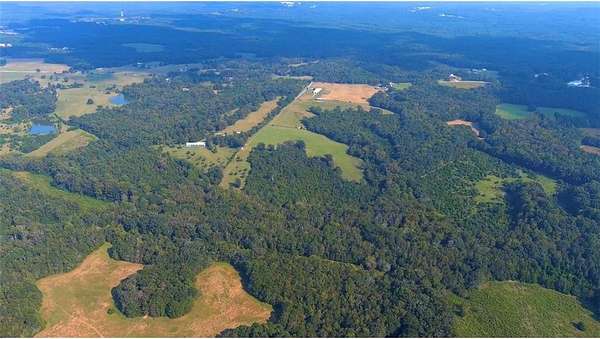 215 Acres of Improved Land for Sale in Dewy Rose, Georgia