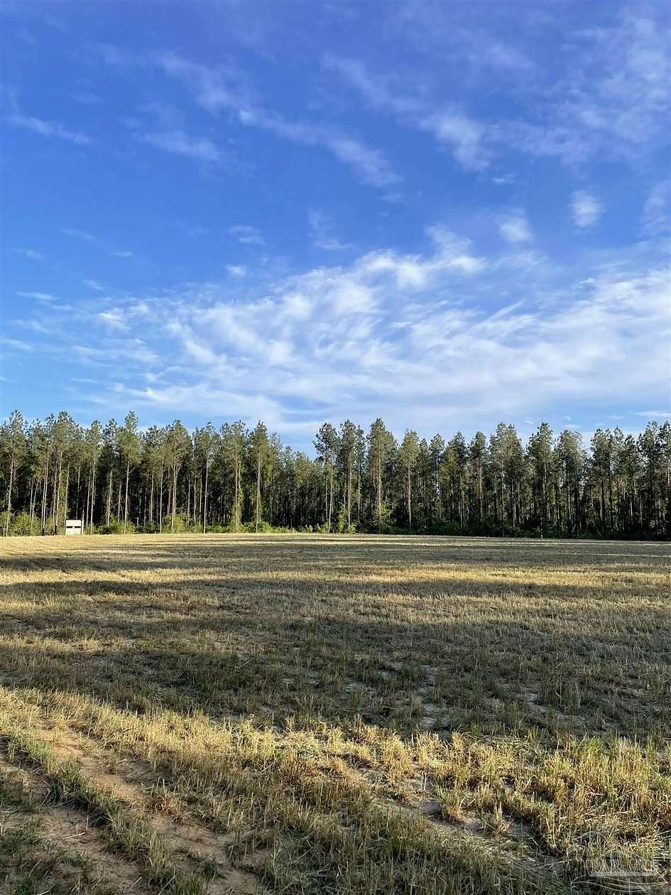 26.8 Acres of Recreational & Residential Land for Sale in Molino, Florida