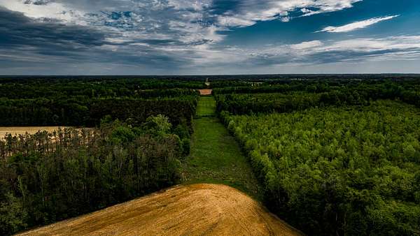 239 Acres of Recreational & Residential Land for Sale in New Albany, Mississippi