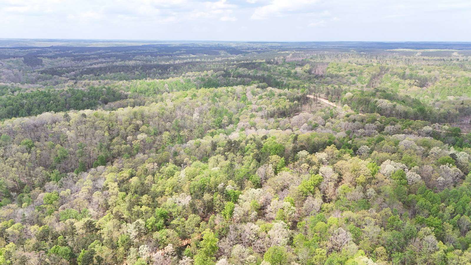 5.6 Acres of Residential Land for Sale in Centerville, Tennessee