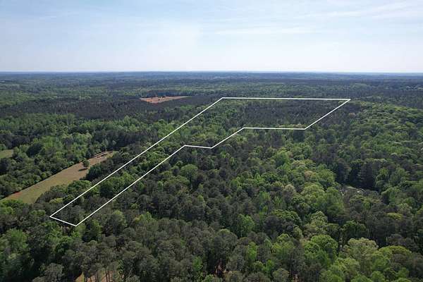 36 Acres of Land for Auction in Social Circle, Georgia