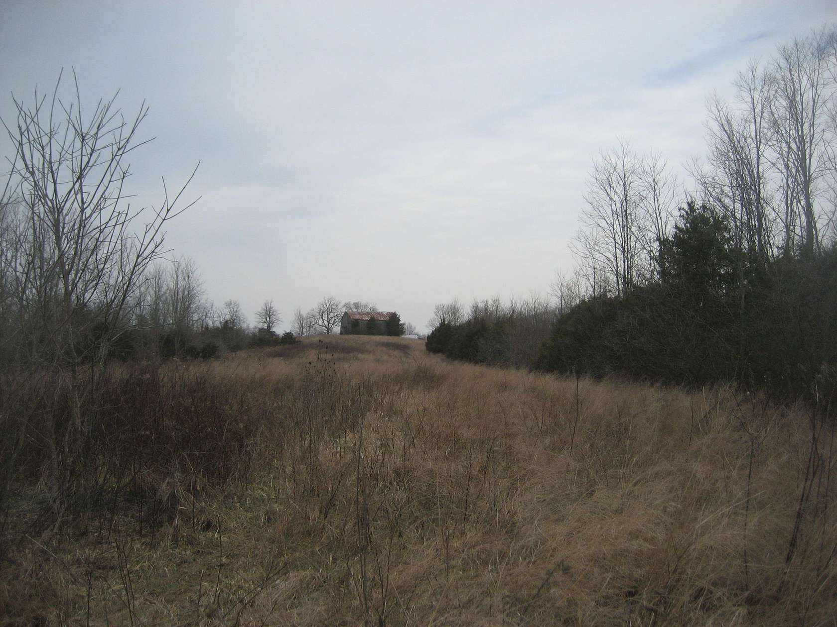 100 Acres of Land for Sale in Lawrenceburg, Kentucky