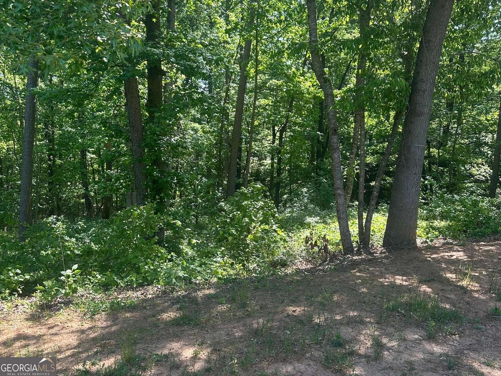 1 Acre of Residential Land for Sale in Homer, Georgia