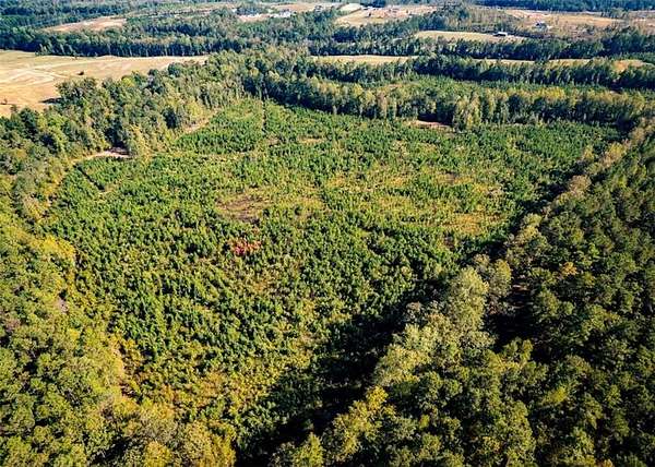 36 Acres of Land for Sale in Salem, Alabama