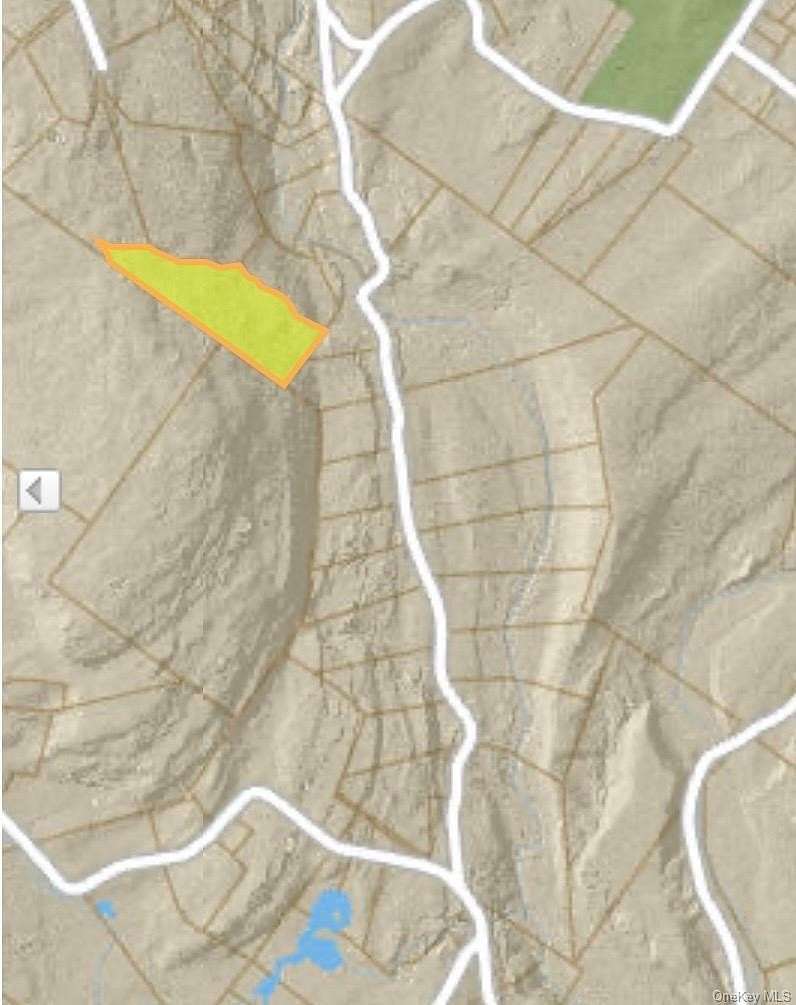 16.2 Acres of Land for Sale in Olivebridge, New York