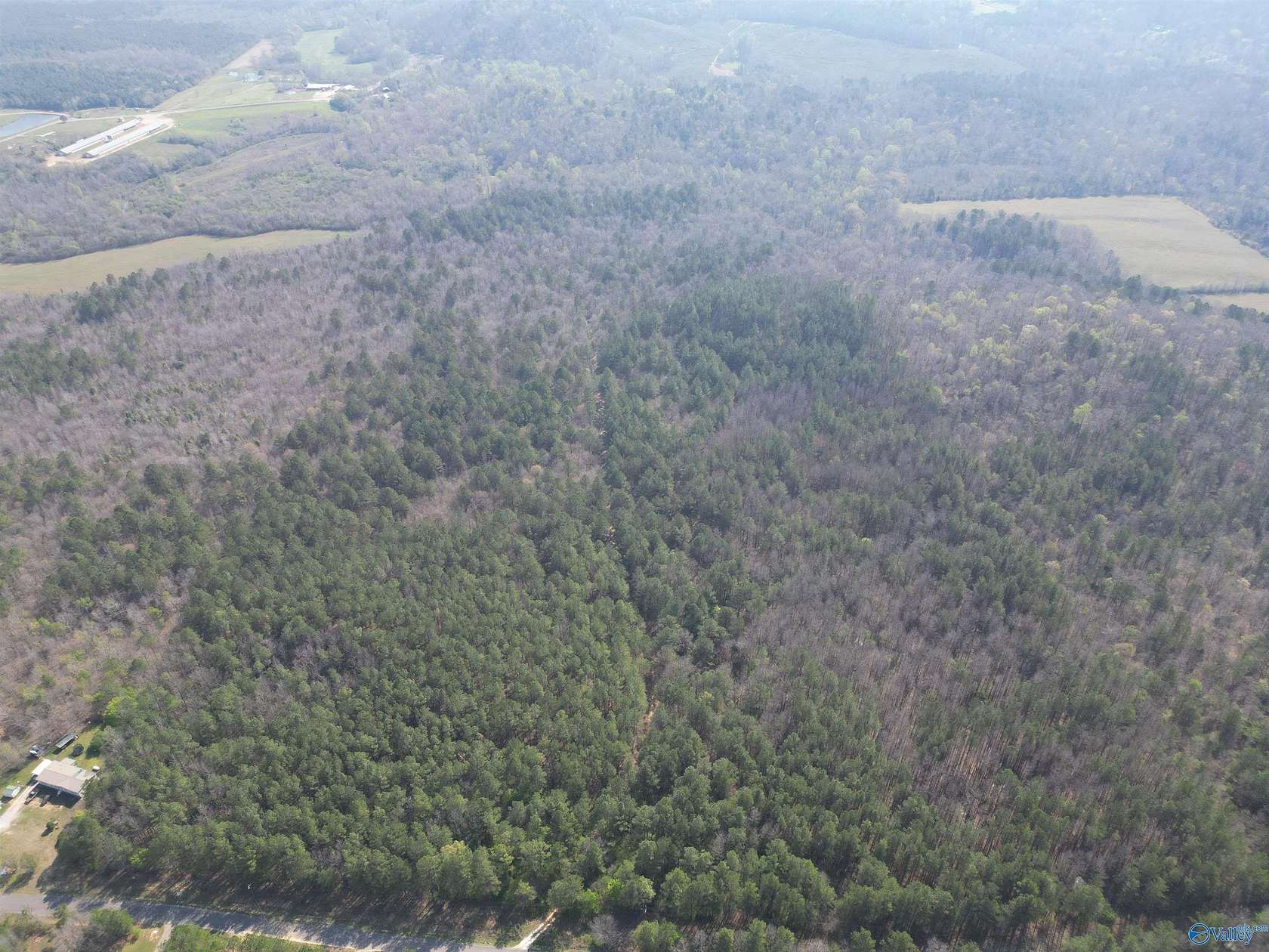 80 Acres of Recreational & Residential Land for Sale in Wellington, Alabama
