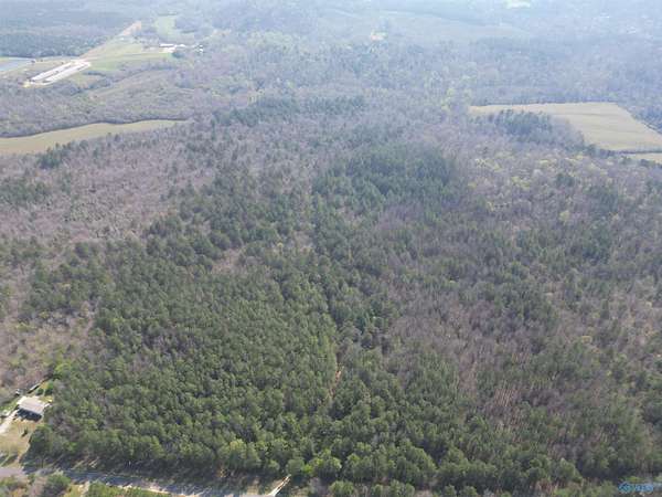 80 Acres of Recreational & Residential Land for Sale in Wellington, Alabama