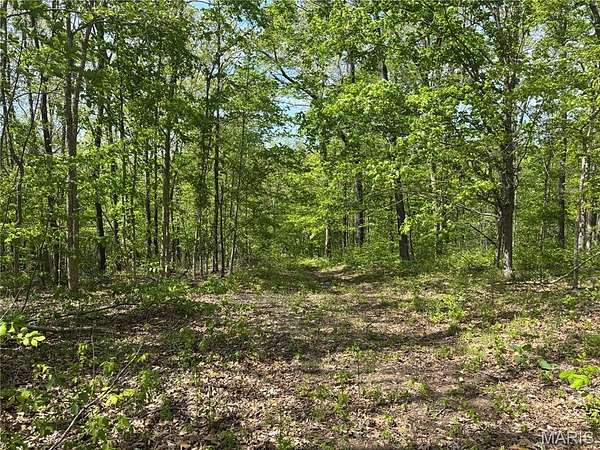 0.75 Acres of Residential Land for Sale in Perryville, Missouri