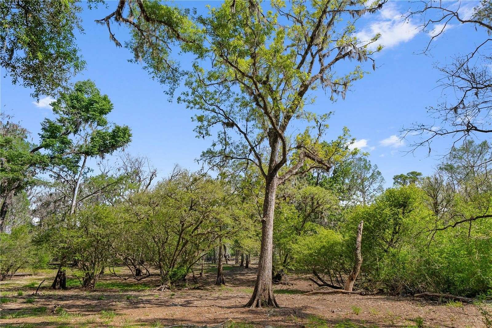 1.28 Acres of Residential Land for Sale in Cross City, Florida